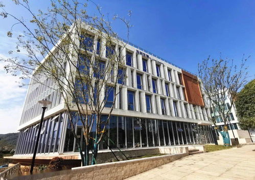 湘江科創基地一期獲批省級孵化器，為區域創新發展注入新動能